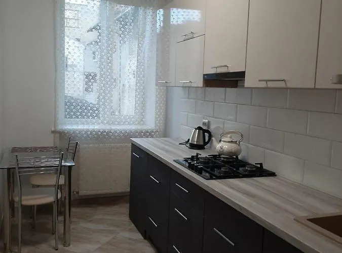 Apartment In Serbska Lviv